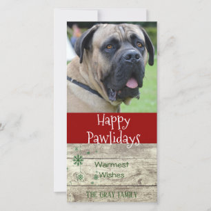 Cartes Pour Fêtes Annuelles Joyeux Pawlidays Photo de voeux de Noël pour ani