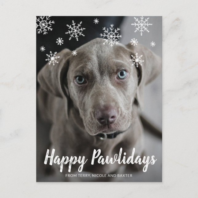 Cartes Pour Fêtes Annuelles Joyeux Pawlidays Snowflakes Chien Photo Noël (Devant)