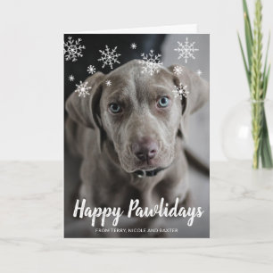 Cartes Pour Fêtes Annuelles Joyeux Pawlidays Snowflakes Chien Photo Noël