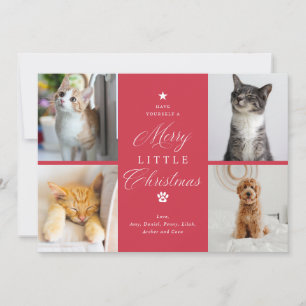 Cartes Pour Fêtes Annuelles Joyeux petit animal de compagnie de Noël 4 Photo F