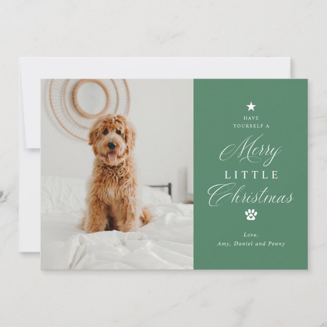 Cartes Pour Fêtes Annuelles Joyeux petit Noël animal de compagnie photo plat d (Devant)