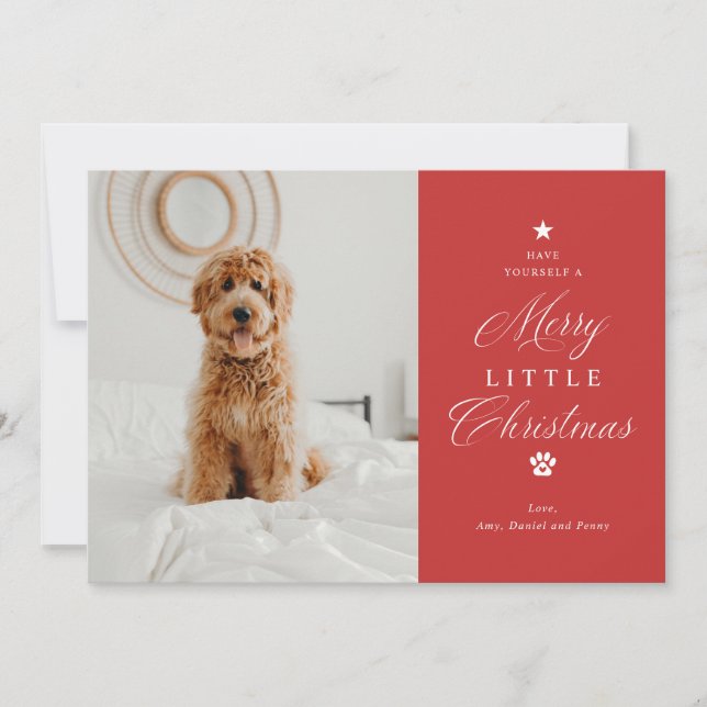Cartes Pour Fêtes Annuelles Joyeux petit Noël animal de compagnie photo plat d (Devant)
