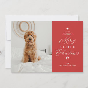 Cartes Pour Fêtes Annuelles Joyeux petit Noël animal de compagnie photo plat d