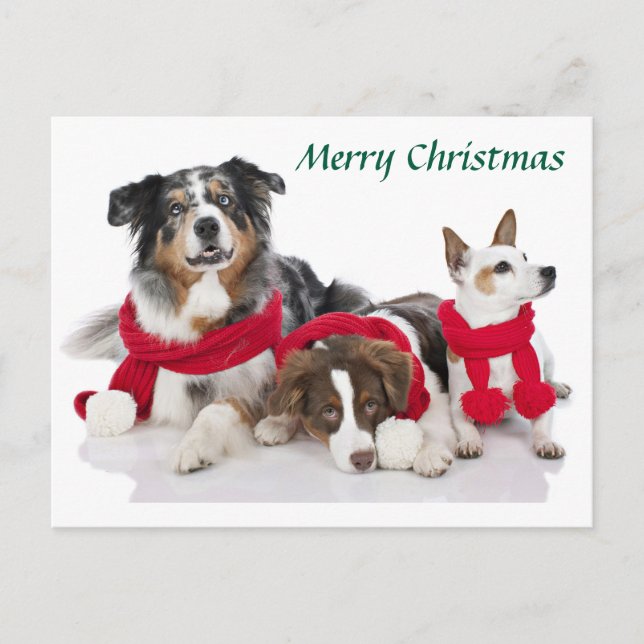 Cartes Pour Fêtes Annuelles Joyeux petits de Noël (Devant)