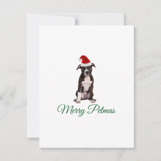 Cartes Pour Fêtes Annuelles Joyeux pitbull de Noël