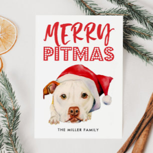 Cartes Pour Fêtes Annuelles Joyeux Pitmas   Drôle Chien taureau Père Noël Pit