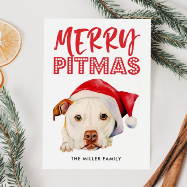 Cartes Pour Fêtes Annuelles Joyeux Pitmas | Drôle Chien taureau Père Noël Pit (Créateur téléchargé)