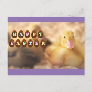Cartes Pour Fêtes Annuelles Joyeux salutations de Pâques de mignons canards