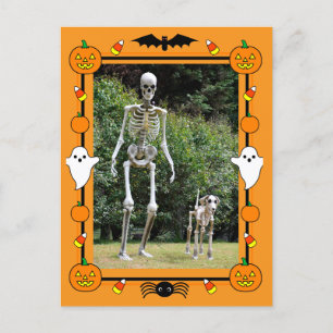 Cartes Pour Fêtes Annuelles Joyeux squelette d'Halloween