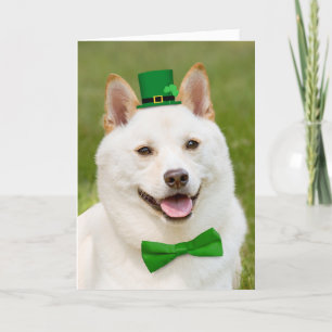 Cartes Pour Fêtes Annuelles Joyeux St Patrick's Day Tout le monde Shiba Inu Ch