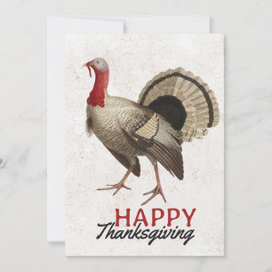 Cartes Pour Fêtes Annuelles Joyeux Thanksgiving Vintage Dinde Oiseau Automne 