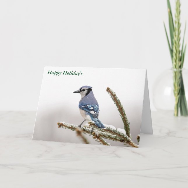 Cartes Pour Fêtes Annuelles Joyeux vacances (Devant)