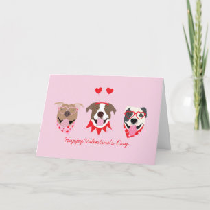 Cartes Pour Fêtes Annuelles Joyeux Valentines Day American Pit Bull Terriers