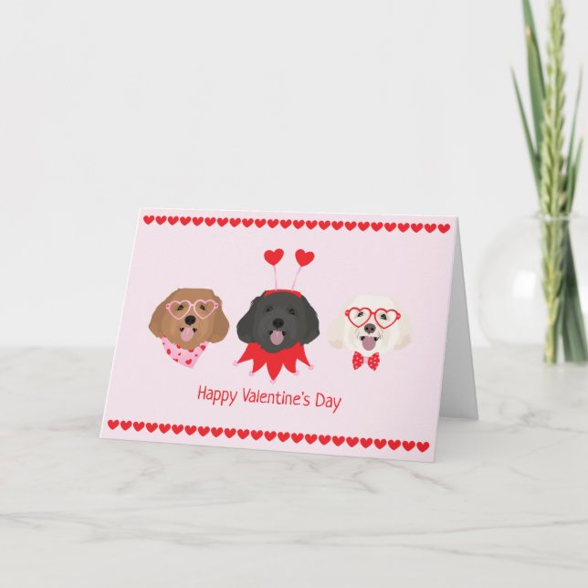 Cartes Pour Fêtes Annuelles Joyeux Valentines Day Chiens de Maltipoo (Devant)