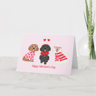 Cartes Pour Fêtes Annuelles Joyeux Valentines Day Chiens de Maltipoo