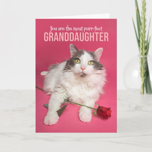 Cartes Pour Fêtes Annuelles Joyeux Valentines Day Petite-fille Chat mignon (Devant)