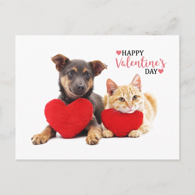 Cartes Pour Fêtes Annuelles Joyeux Valentine's Dog and Cat (Devant)