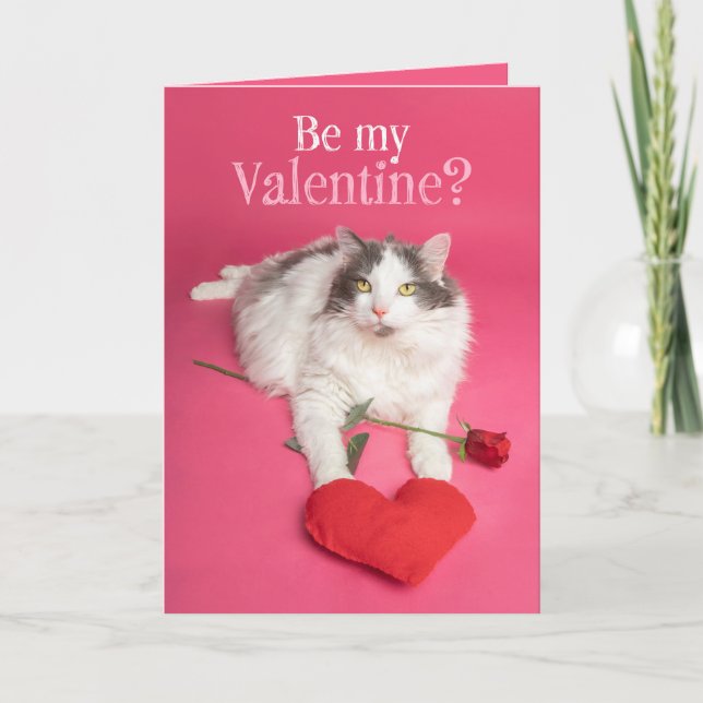 Cartes Pour Fêtes Annuelles Joyeux Valentines Jour Cute Chat Avec Coeur (Devant)