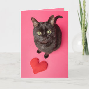 Cartes Pour Fêtes Annuelles Joyeux Valentines Jour Drôle Chat Avec Coeur Jouet