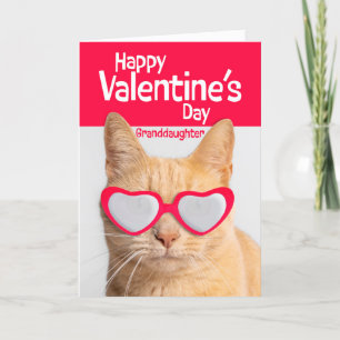 Cartes Pour Fêtes Annuelles Joyeux Valentines Jour Grand-fille Chat en lunette