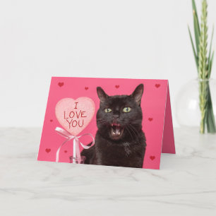 Cartes Pour Fêtes Annuelles Joyeux Valentines Jour Je T'Aime Drôle Parler Chat