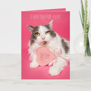 Cartes Pour Fêtes Annuelles Joyeux Valentines Jour Je T'Aime FurEver Chat