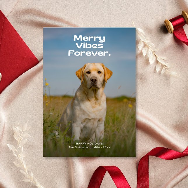 Cartes Pour Fêtes Annuelles Joyeux Vibes pour toujours Chien Photo Noël (Créateur téléchargé)