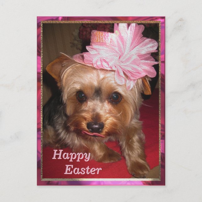 Cartes Pour Fêtes Annuelles Joyeux Yorkie de Pâques (Devant)