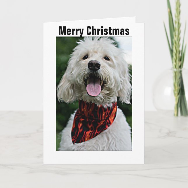 CARTES POUR FÊTES ANNUELLES JOYEZ NOËL DE CHIEN HEUREUX/HEUREUX (Devant)