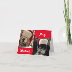 CARTES POUR FÊTES ANNUELLES JOYEZ NOËL DE NOS CHIENS