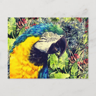 Cartes Pour Fêtes Annuelles Jungle et macaw bleu jaune