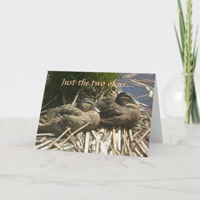 Cartes Pour Fêtes Annuelles Juste les deux de nous… (Devant)