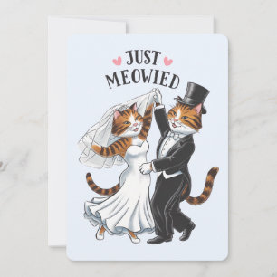 Cartes Pour Fêtes Annuelles Juste Meowied couples mariés chat mariage drôle