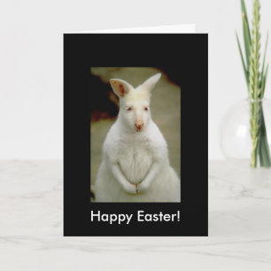 Cartes Pour Fêtes Annuelles Kangourou blanc mignon adorable albinos