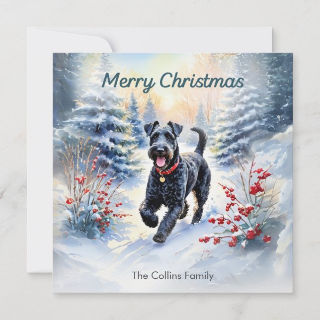 Cartes Pour Fêtes Annuelles Kerry Blue Terrier en hiver neige Joyeux Noël (Devant)