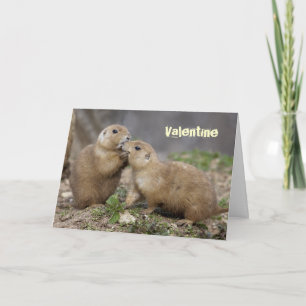 Cartes Pour Fêtes Annuelles Kiss Me Quick