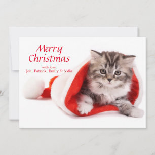Cartes Pour Fêtes Annuelles Kitten à Santa Hat