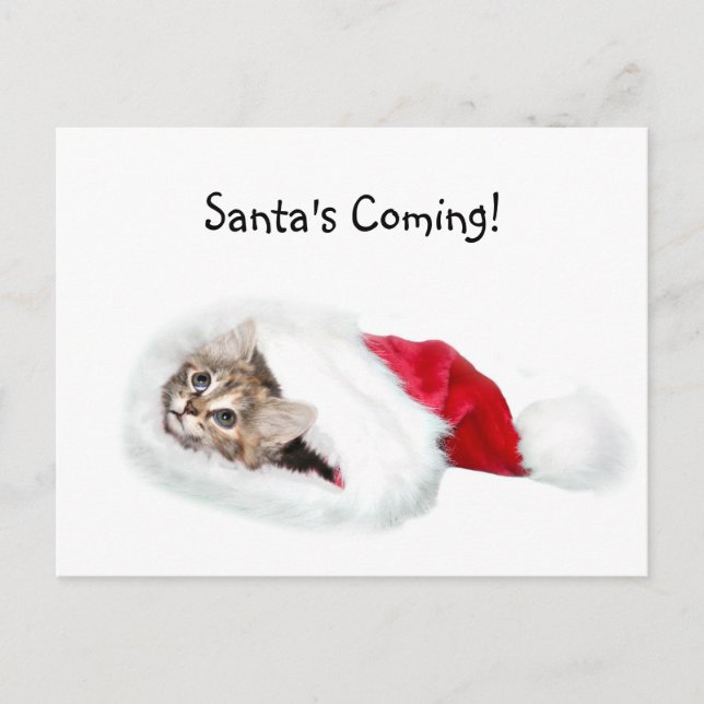 Cartes Pour Fêtes Annuelles Kitten à Santa Hat (Devant)
