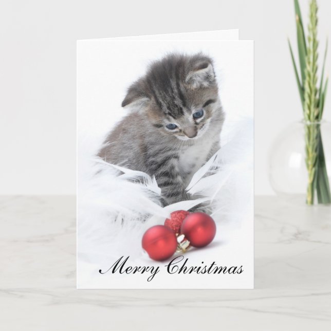 Cartes Pour Fêtes Annuelles Kitten Christmas Card (Devant)
