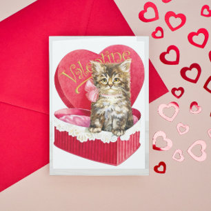 Cartes Pour Fêtes Annuelles Kitten dans Candy Box