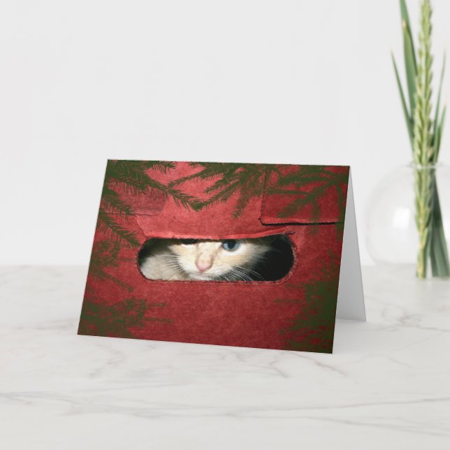 Cartes Pour Fêtes Annuelles Kitten dans la boîte de Noël (Devant)