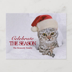 Cartes Pour Fêtes Annuelles Kitten dans la neige avec chapeau santa