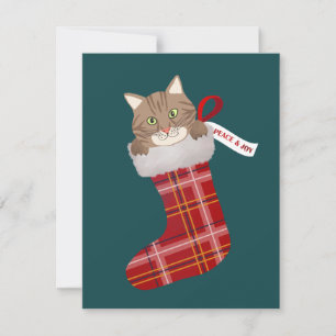 Cartes Pour Fêtes Annuelles Kitten dans une réserve de Noël