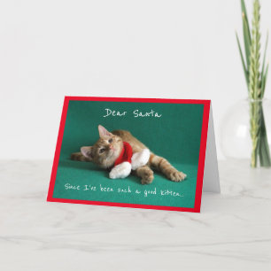 Cartes Pour Fêtes Annuelles Kitten habillé pour Noël