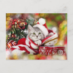 Cartes Pour Fêtes Annuelles Kitten Noël Portant le chapeau de Santa