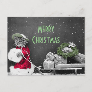 Cartes Pour Fêtes Annuelles Kitten Père Noël et traîneau de paquets