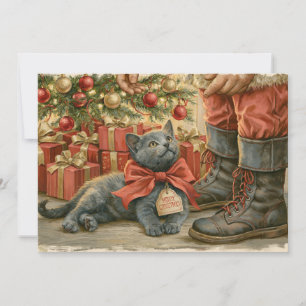 Cartes Pour Fêtes Annuelles Kitten Père Noël Noël