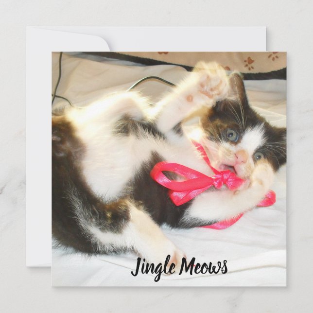 Cartes Pour Fêtes Annuelles Kitten Photo Text Jingle Meows, Customize,  (Devant)