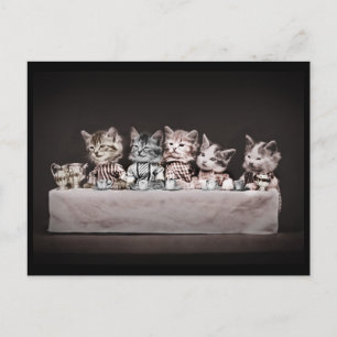 Cartes Pour Fêtes Annuelles Kitties à la table de thé