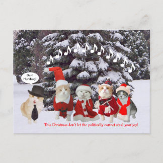 Cartes Pour Fêtes Annuelles Kitties chantent des chants de Noël